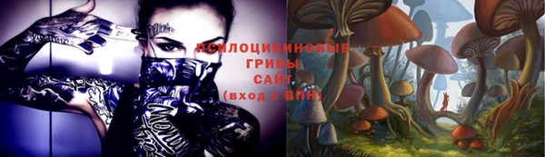 индика Армянск