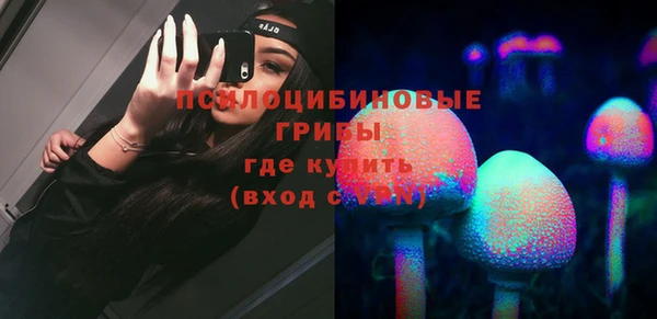 индика Армянск