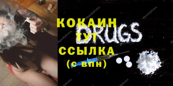 индика Армянск