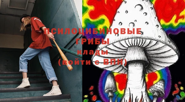 индика Армянск