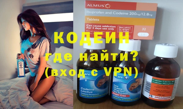 индика Армянск