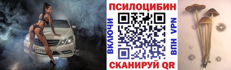 Псилоцибиновые грибы Psilocybine cubensis  площадка наркотические препараты  Семикаракорск 